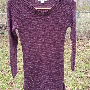 Moral Fiber purple/silver sweater dress size small